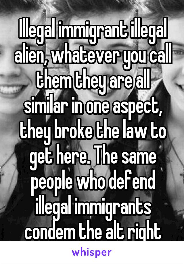 Illegal immigrant illegal alien, whatever you call them they are all similar in one aspect, they broke the law to get here. The same people who defend illegal immigrants condem the alt right