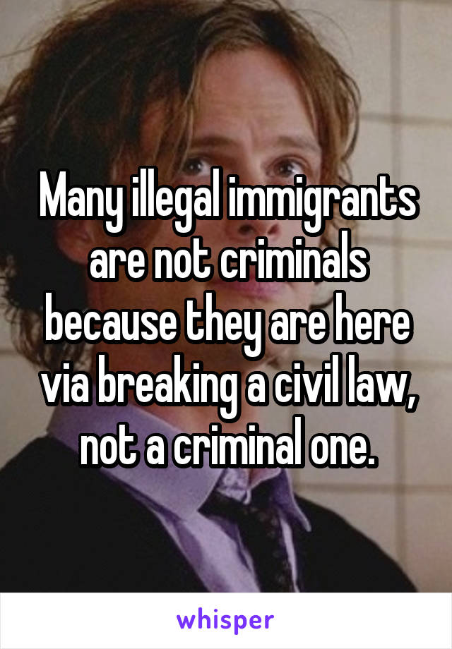 Many illegal immigrants are not criminals because they are here via breaking a civil law, not a criminal one.