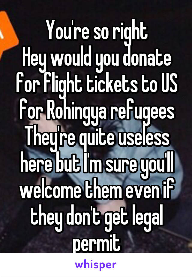 You're so right
Hey would you donate for flight tickets to US for Rohingya refugees
They're quite useless here but I'm sure you'll welcome them even if they don't get legal permit