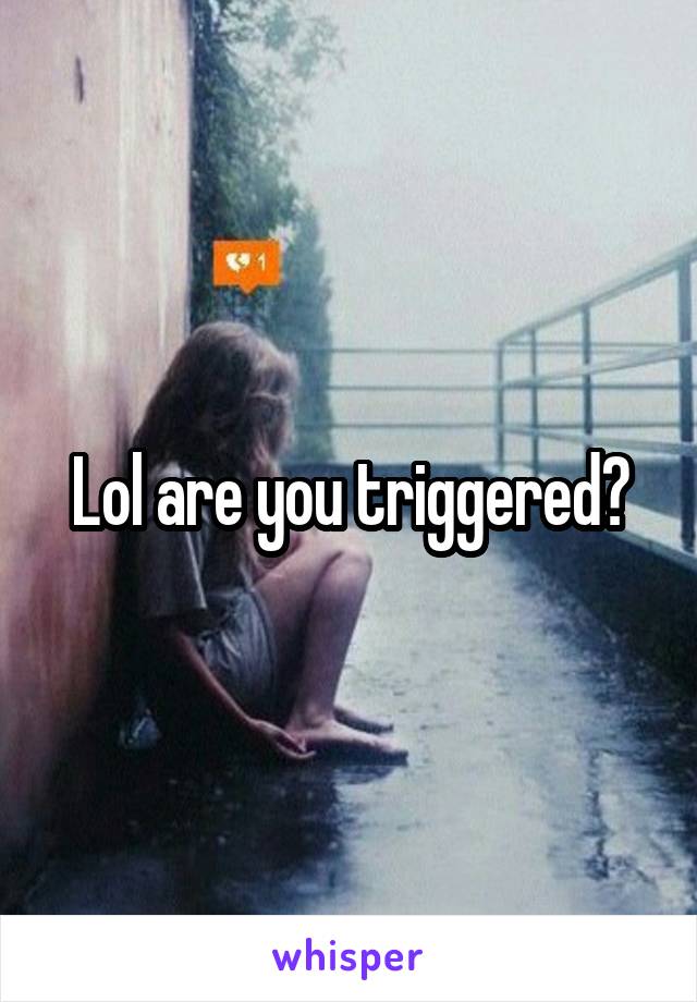 Lol are you triggered?