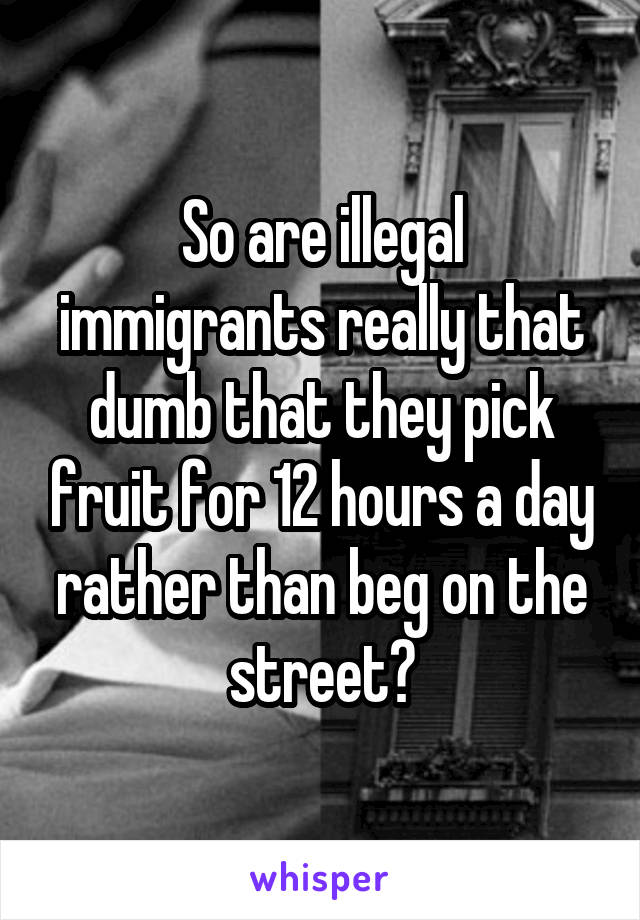 So are illegal immigrants really that dumb that they pick fruit for 12 hours a day rather than beg on the street?