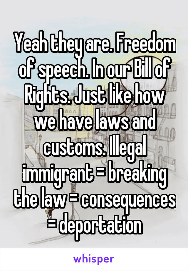 Yeah they are. Freedom of speech. In our Bill of Rights. Just like how we have laws and customs. Illegal immigrant = breaking the law = consequences = deportation