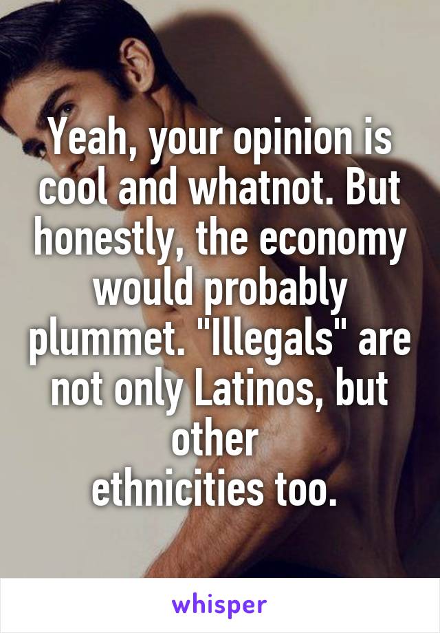 Yeah, your opinion is cool and whatnot. But honestly, the economy would probably plummet. "Illegals" are not only Latinos, but other 
ethnicities too. 