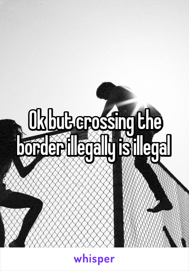 Ok but crossing the border illegally is illegal 