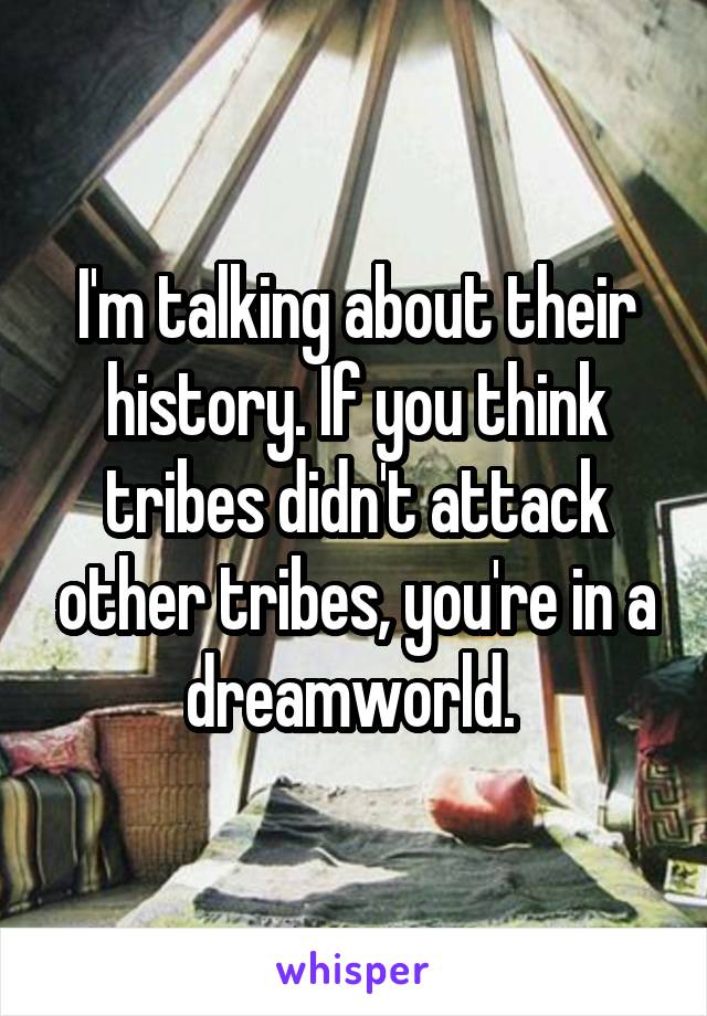 I'm talking about their history. If you think tribes didn't attack other tribes, you're in a dreamworld. 