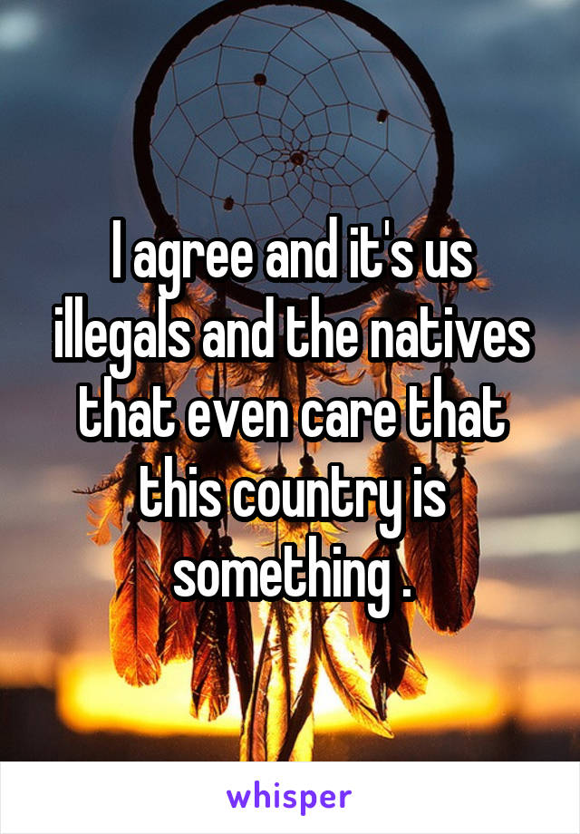 I agree and it's us illegals and the natives that even care that this country is something .