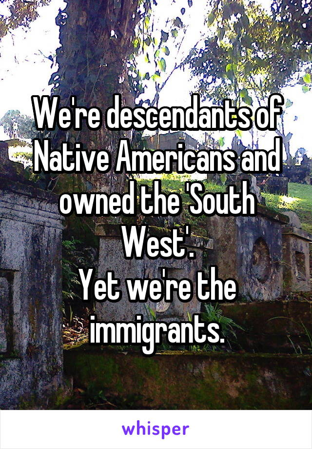 We're descendants of Native Americans and owned the 'South West'.
Yet we're the immigrants.