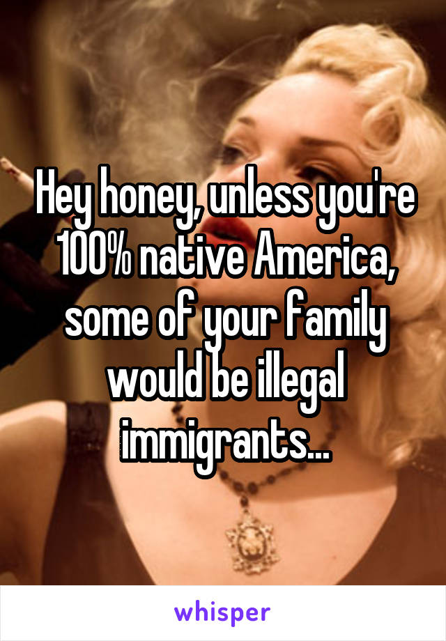 Hey honey, unless you're 100% native America, some of your family would be illegal immigrants...