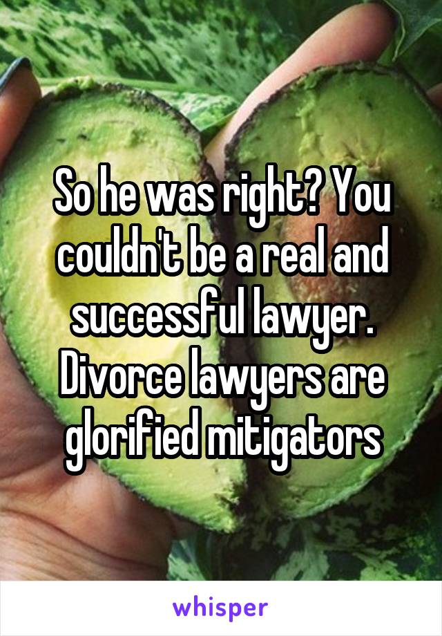 So he was right? You couldn't be a real and successful lawyer. Divorce lawyers are glorified mitigators