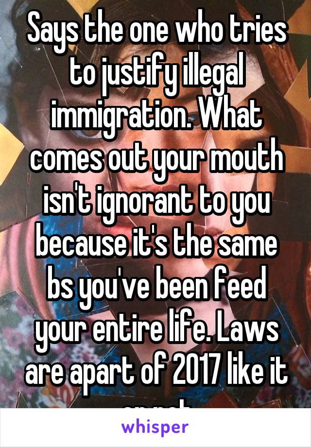 Says the one who tries to justify illegal immigration. What comes out your mouth isn't ignorant to you because it's the same bs you've been feed your entire life. Laws are apart of 2017 like it or not