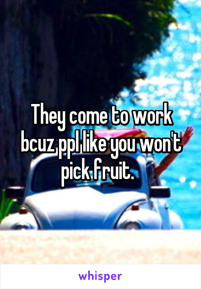 They come to work bcuz ppl like you won't pick fruit.  