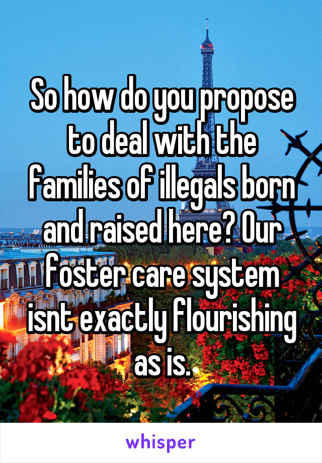 So how do you propose to deal with the families of illegals born and raised here? Our foster care system isnt exactly flourishing as is.