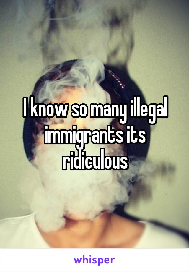 I know so many illegal immigrants its ridiculous