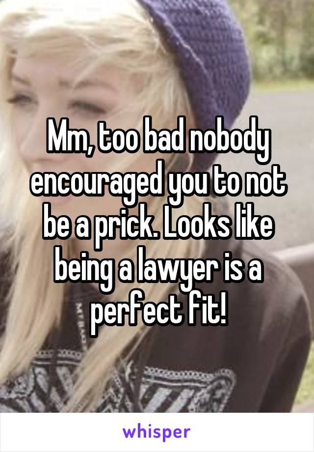 Mm, too bad nobody encouraged you to not be a prick. Looks like being a lawyer is a perfect fit!