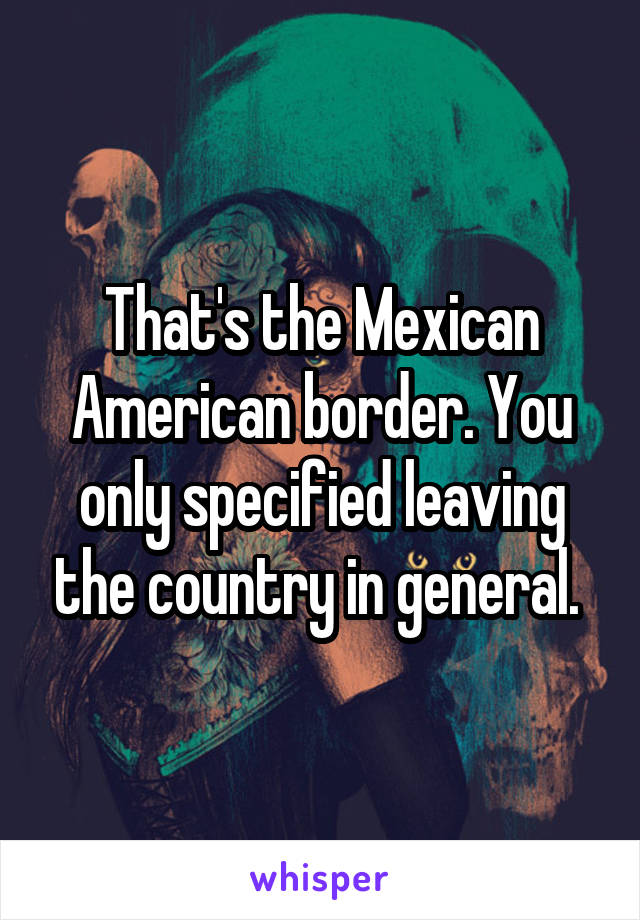 That's the Mexican American border. You only specified leaving the country in general. 