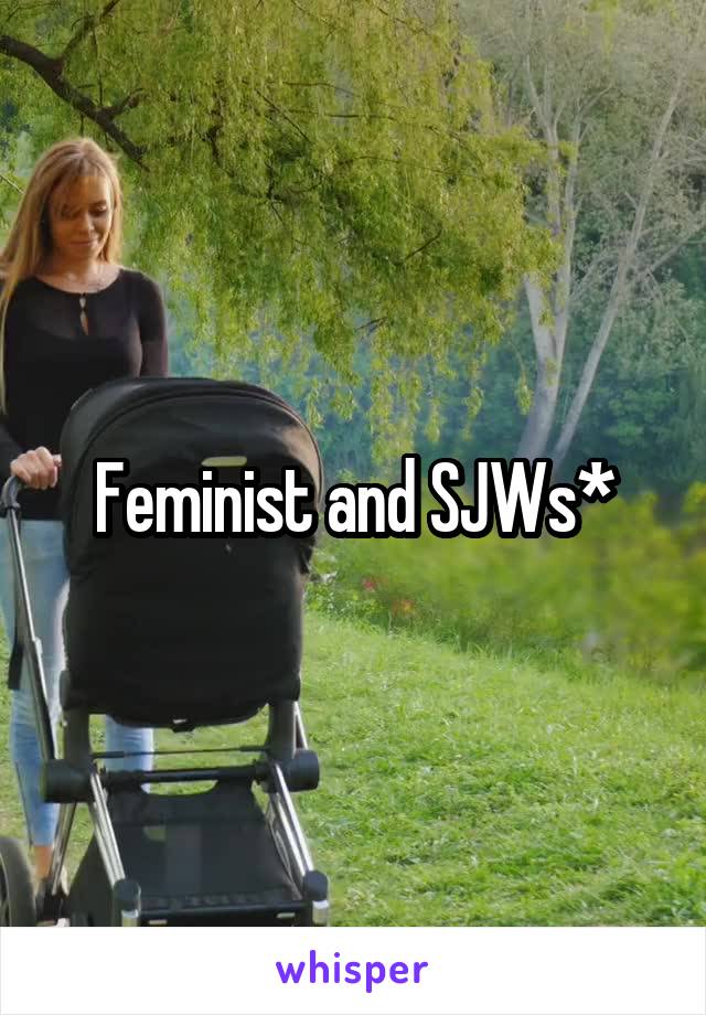 Feminist and SJWs*