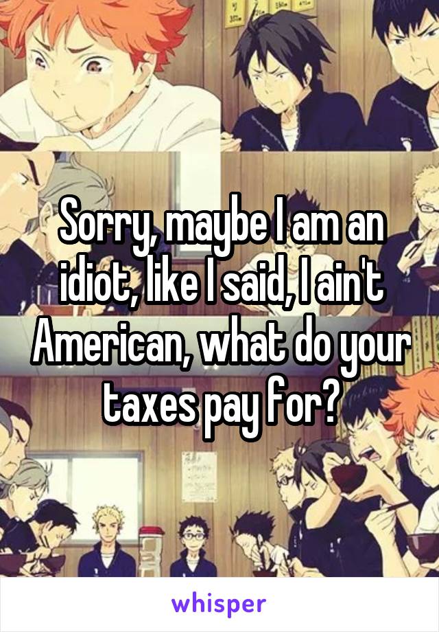 Sorry, maybe I am an idiot, like I said, I ain't American, what do your taxes pay for?