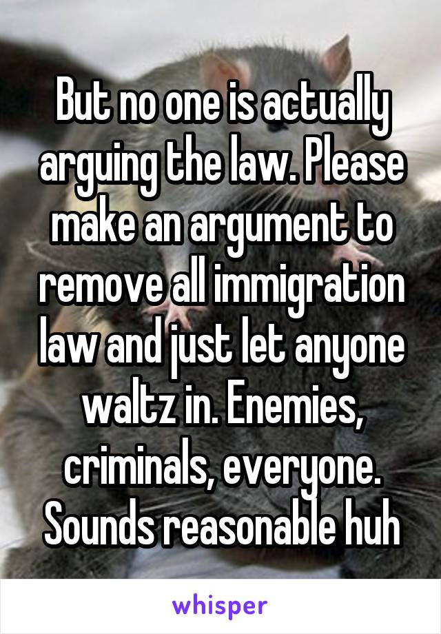 But no one is actually arguing the law. Please make an argument to remove all immigration law and just let anyone waltz in. Enemies, criminals, everyone. Sounds reasonable huh