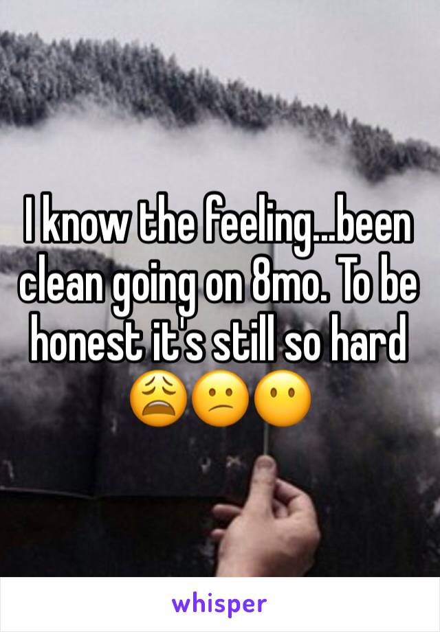 I know the feeling...been clean going on 8mo. To be honest it's still so hard 😩😕😶
