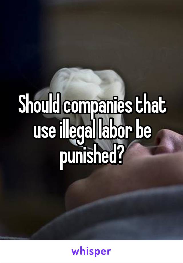 Should companies that use illegal labor be punished?