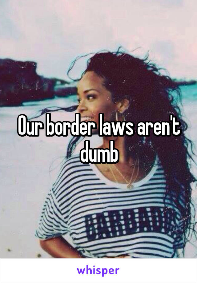 Our border laws aren't dumb