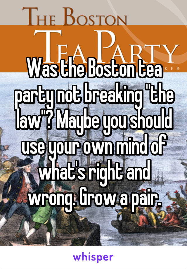 Was the Boston tea party not breaking "the law"? Maybe you should use your own mind of what's right and wrong. Grow a pair.