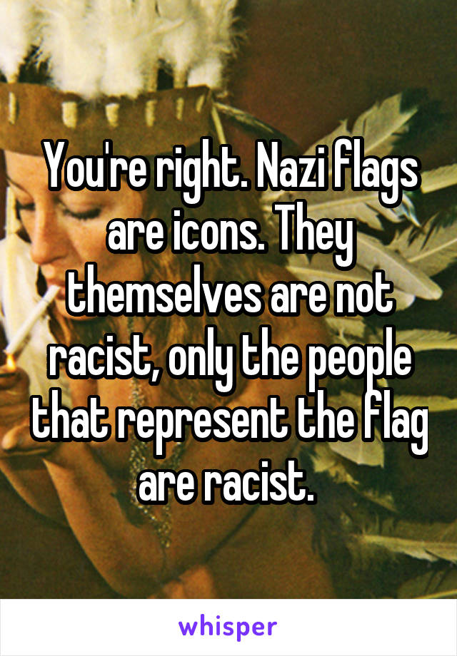 You're right. Nazi flags are icons. They themselves are not racist, only the people that represent the flag are racist. 