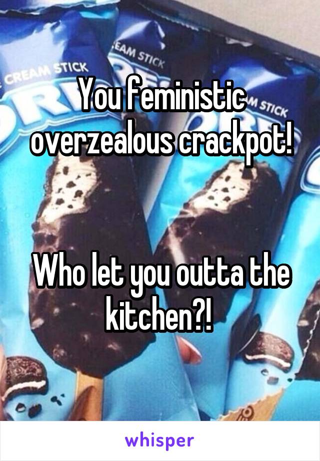 You feministic overzealous crackpot!


Who let you outta the kitchen?! 
