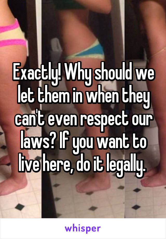 Exactly! Why should we let them in when they can't even respect our laws? If you want to live here, do it legally. 