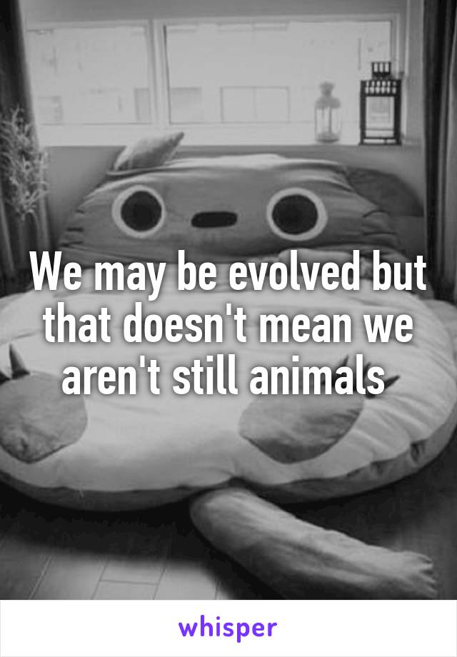 We may be evolved but that doesn't mean we aren't still animals 