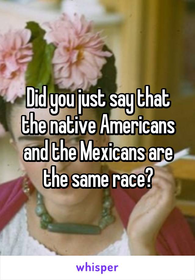 Did you just say that the native Americans and the Mexicans are the same race?