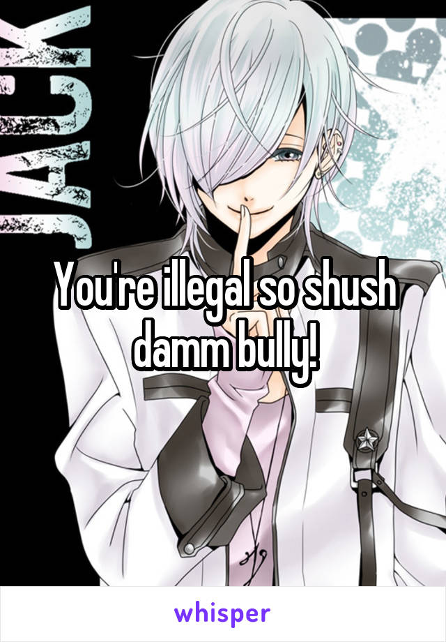 You're illegal so shush damm bully!