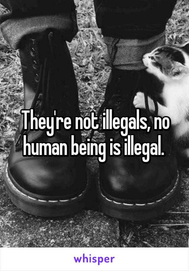 They're not illegals, no human being is illegal. 