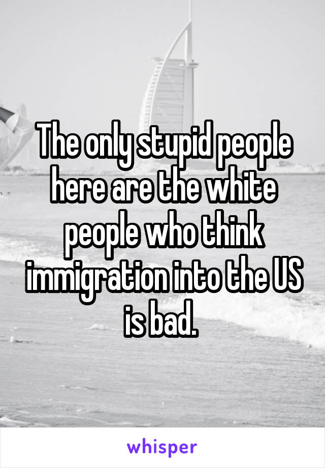 The only stupid people here are the white people who think immigration into the US is bad. 