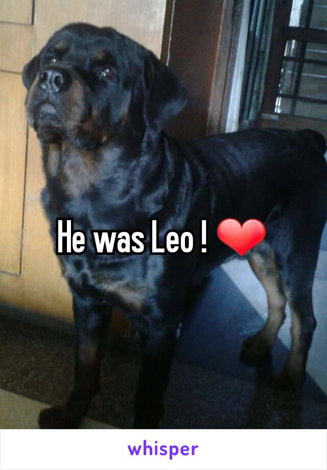 He was Leo ! ❤