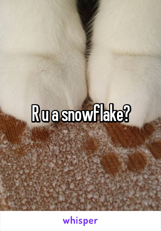 R u a snowflake?