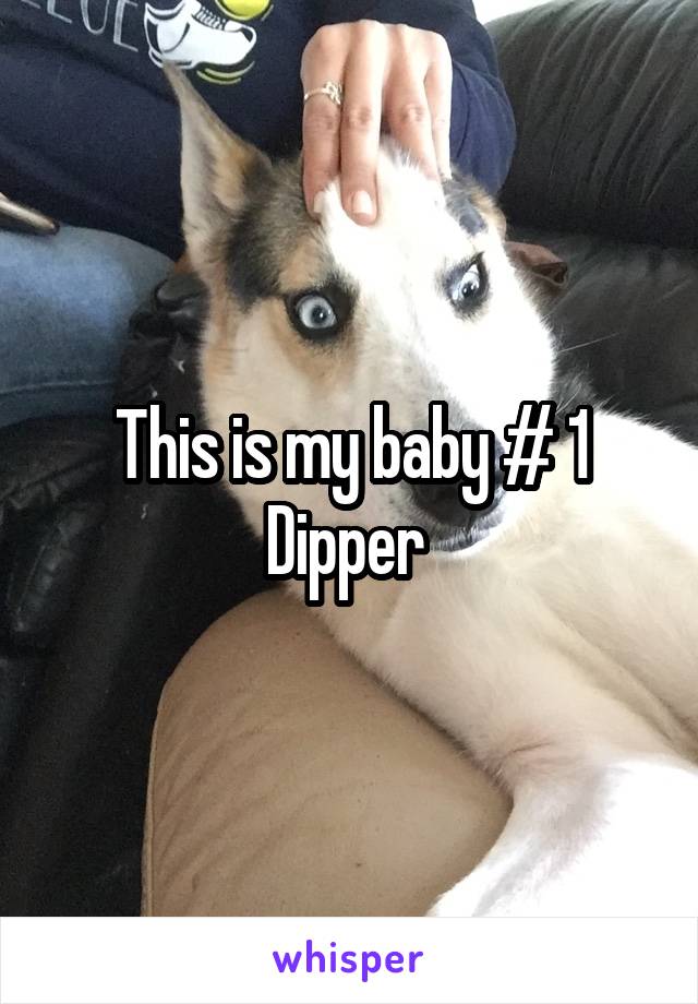This is my baby # 1 Dipper 