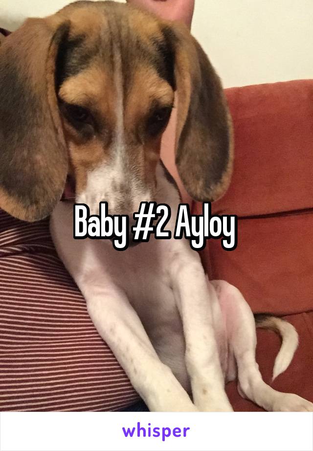 Baby #2 Ayloy 