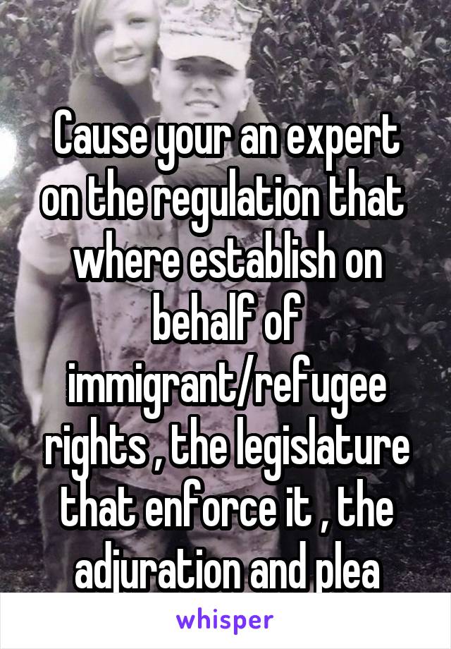 

Cause your an expert on the regulation that 
where establish on behalf of immigrant/refugee rights , the legislature that enforce it , the adjuration and plea right ? 