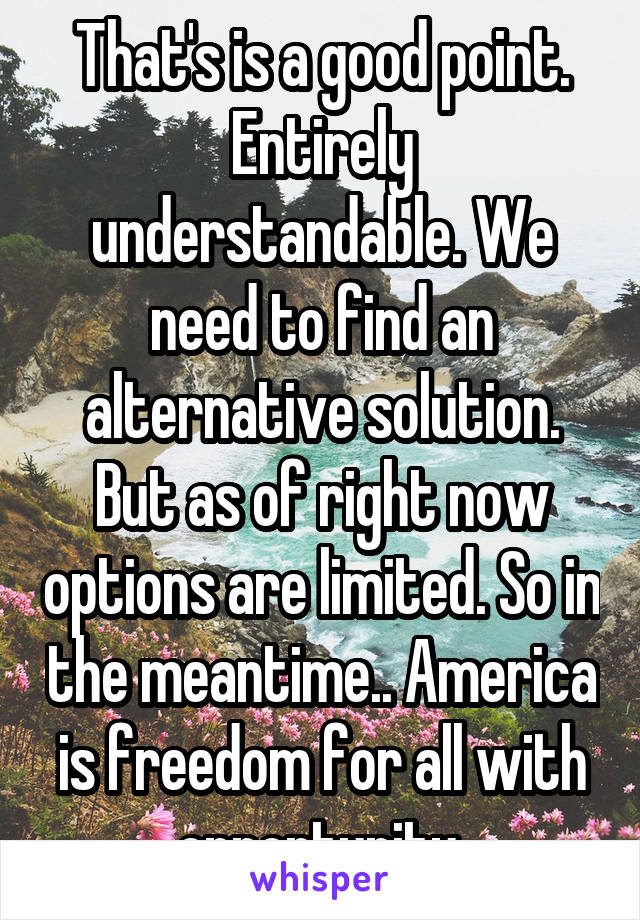 That's is a good point. Entirely understandable. We need to find an alternative solution. But as of right now options are limited. So in the meantime.. America is freedom for all with opportunity.