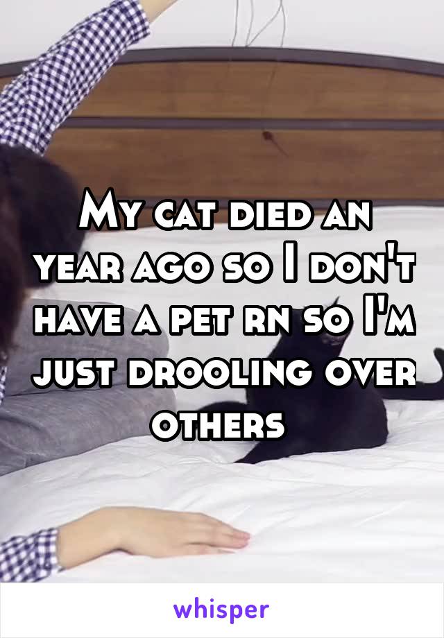 My cat died an year ago so I don't have a pet rn so I'm just drooling over others 