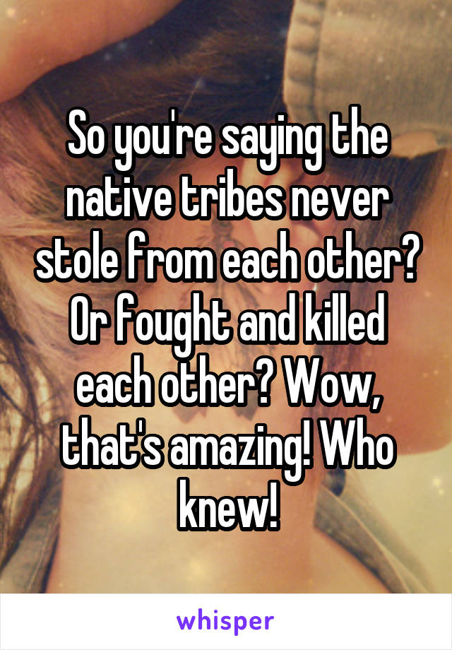 So you're saying the native tribes never stole from each other? Or fought and killed each other? Wow, that's amazing! Who knew!