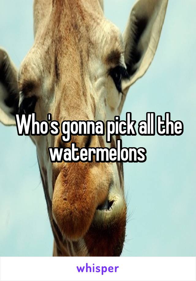 Who's gonna pick all the watermelons 