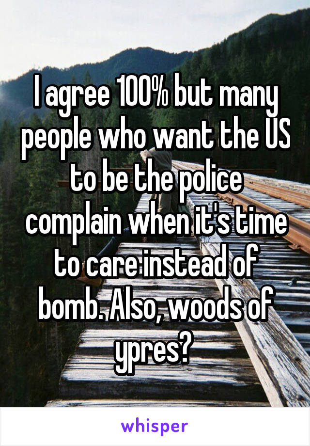 I agree 100% but many people who want the US to be the police complain when it's time to care instead of bomb. Also, woods of ypres? 