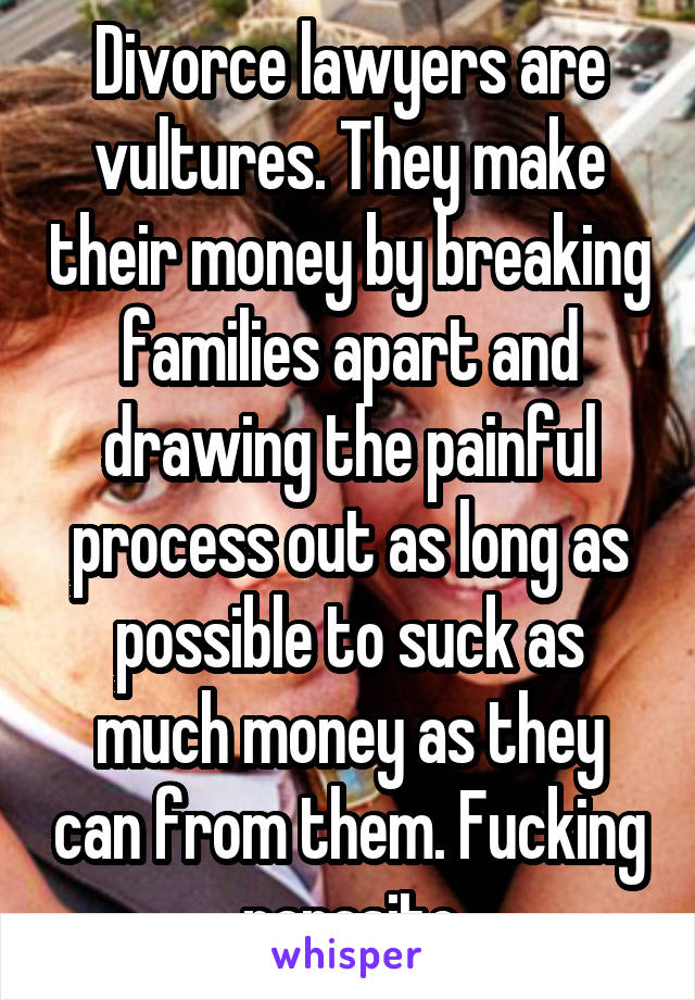 Divorce lawyers are vultures. They make their money by breaking families apart and drawing the painful process out as long as possible to suck as much money as they can from them. Fucking parasite