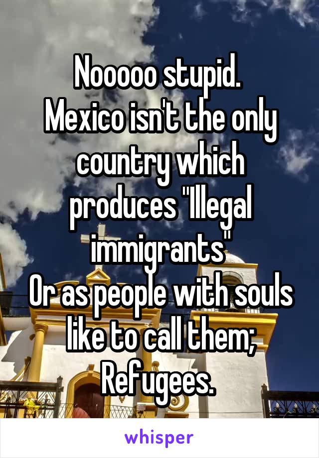 Nooooo stupid. 
Mexico isn't the only country which produces "Illegal immigrants"
Or as people with souls like to call them; Refugees. 