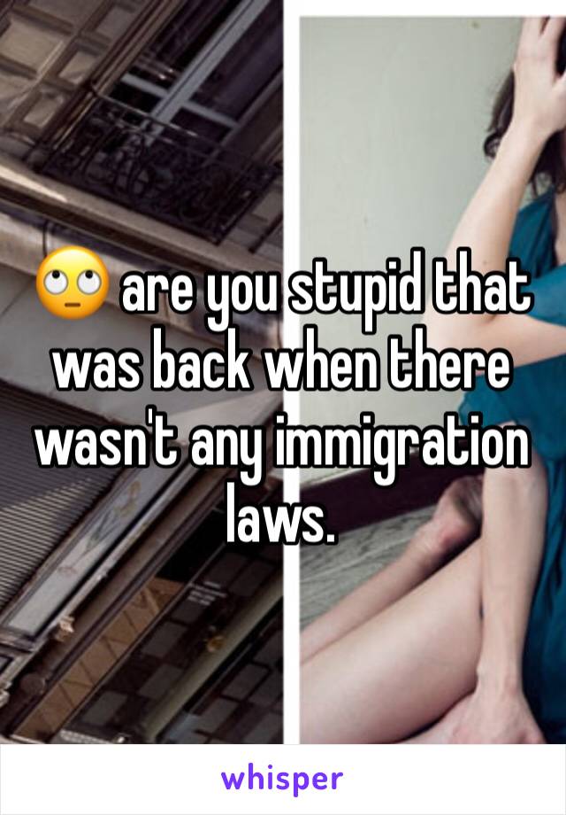 🙄 are you stupid that was back when there wasn't any immigration laws.