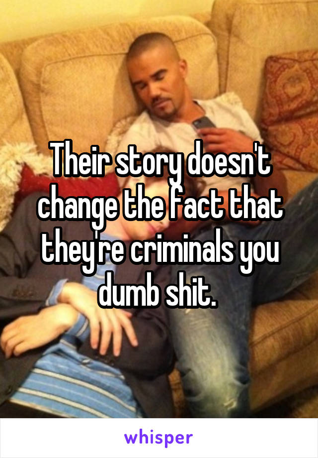 Their story doesn't change the fact that they're criminals you dumb shit. 