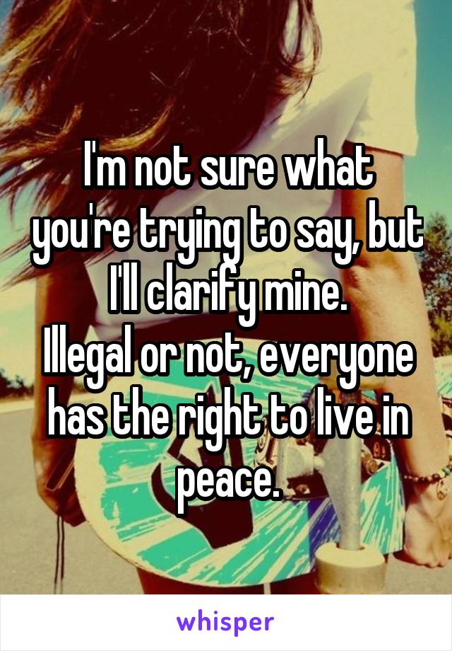 I'm not sure what you're trying to say, but I'll clarify mine.
Illegal or not, everyone has the right to live in peace.