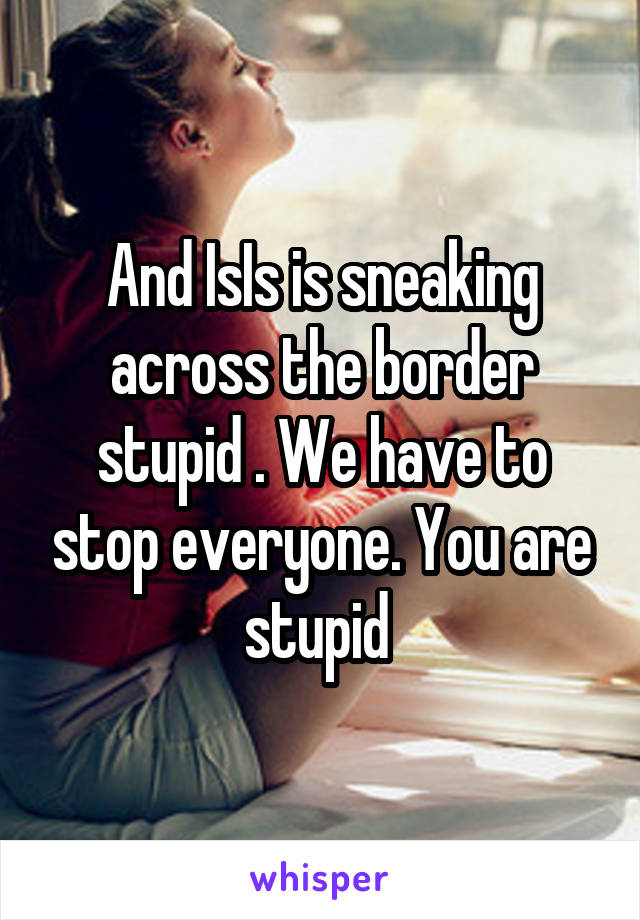 And IsIs is sneaking across the border stupid . We have to stop everyone. You are stupid 